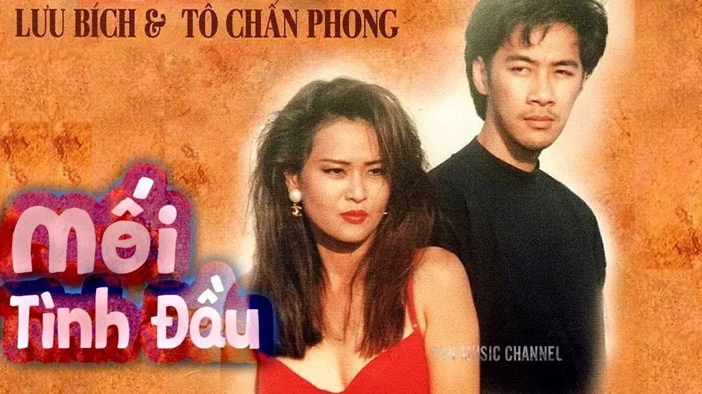 Album Lossless Lưu Bích & Tô Chấn Phong - Mối Tình Đầu 1994