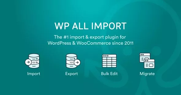 WP All Import Pro v4.8.5
