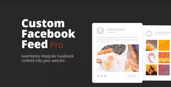 Custom Facebook Feed Pro v4.3.6 - Facebook News Feed for WordPress