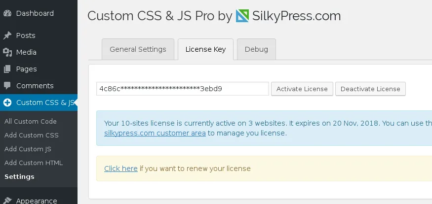 Simple Custom CSS and JS PRO v4.28