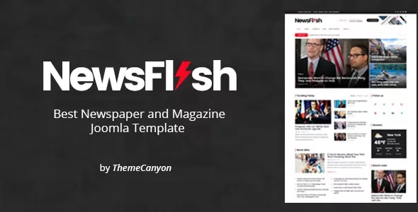 NewsFlash v1.2 - Joomla News & Magazine Template