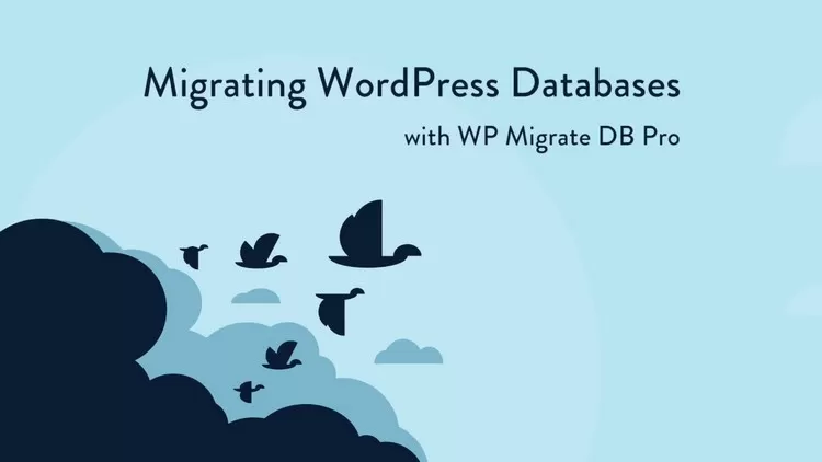 WP Migrate DB Pro v2.6.1